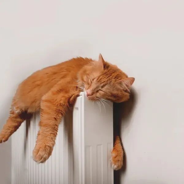 La fidélité qui réchauffe le quotidien